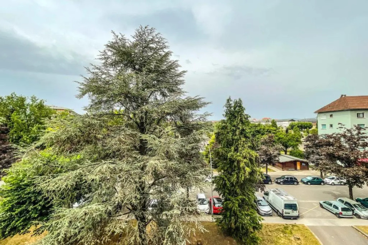 Apartment T2 With Balcony Annecy Centre