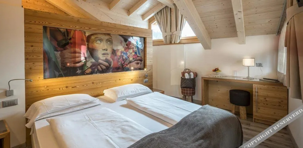 Chalet Vites Mountain HotelOver view