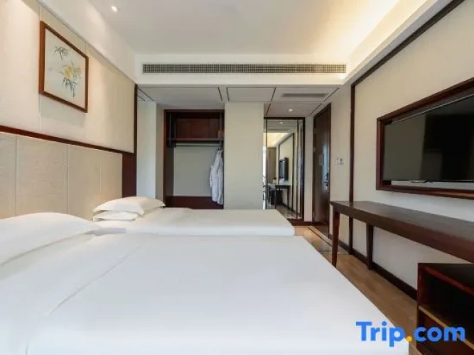 Premium Twin room