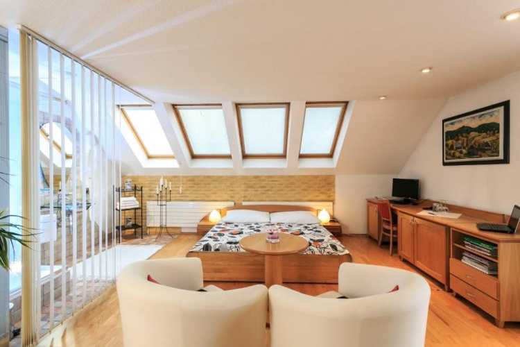 Deluxe Twin room with view