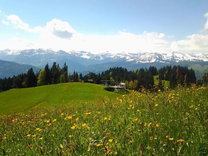 Schedlers Löwenhotel Garni