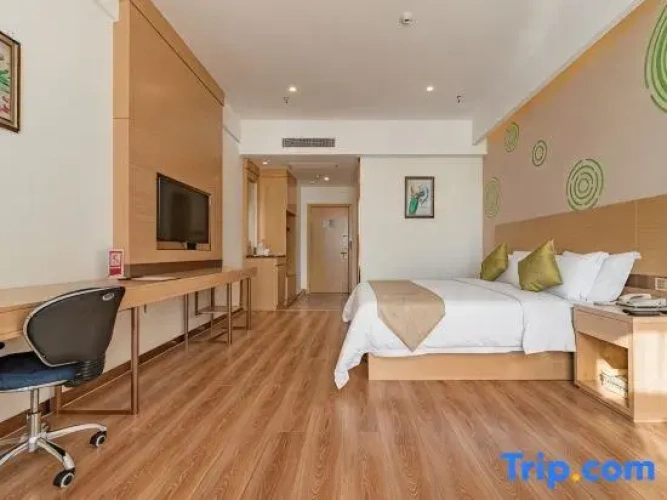 Standard Double room with city view