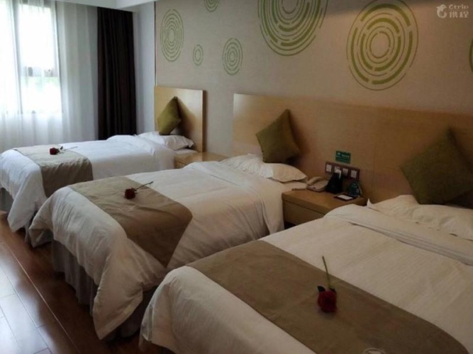 Standard Triple room