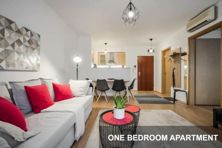 1 Bedroom Apartment