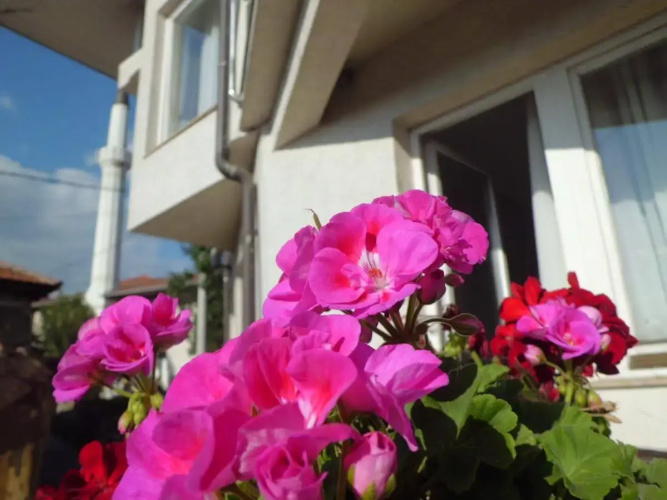 Hotel Irmak