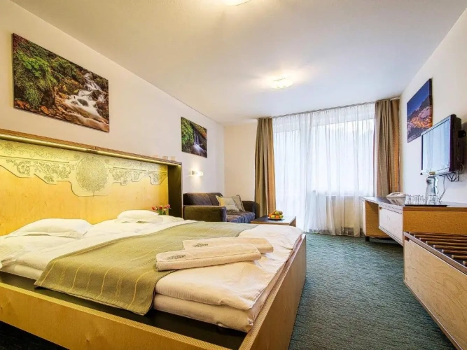 Superior Double room with mountain view