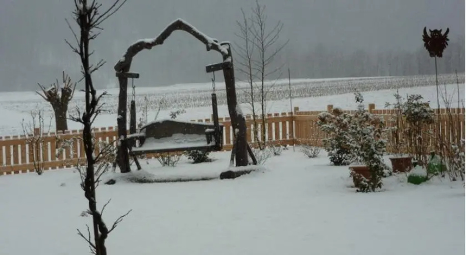 La Suita Bed Breakfast
