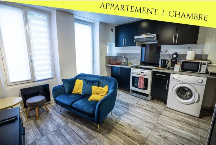 1 Bedroom Apartment