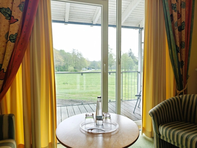 Classic Double room with balcony and with garden view
