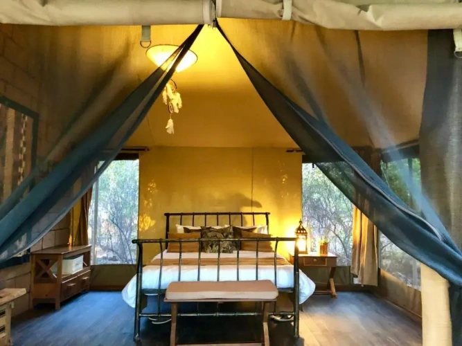 Tent