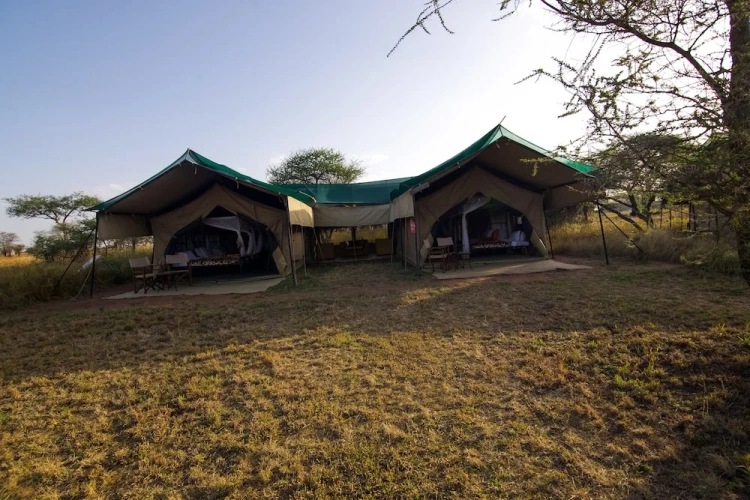 Family Tent