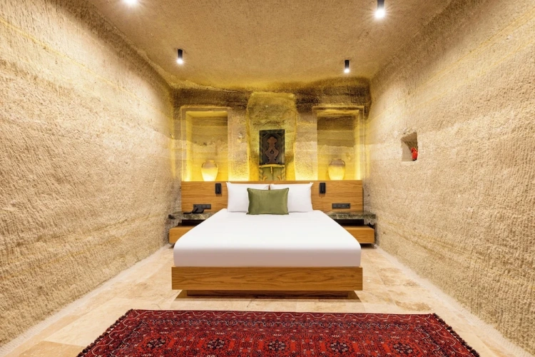 1 Bedroom Suite