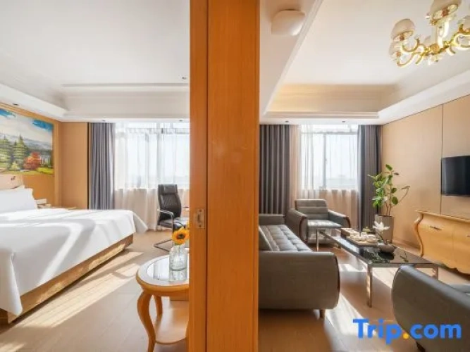 1 Bedroom Suite