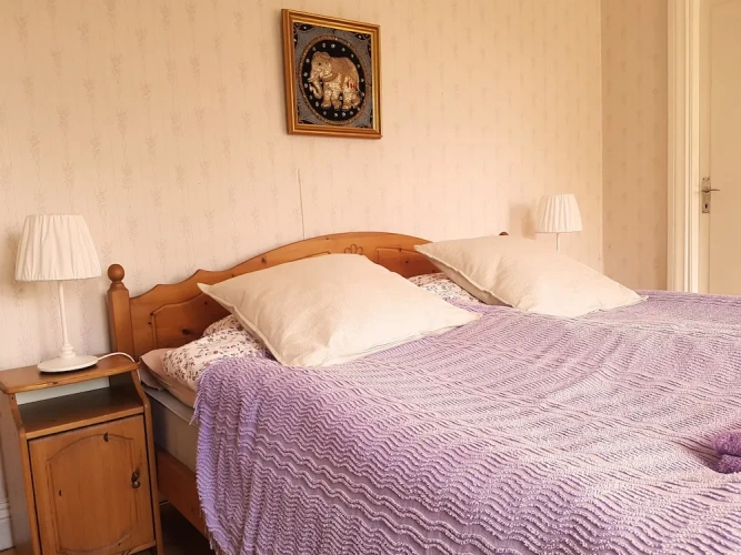 Deluxe Double room with garden view