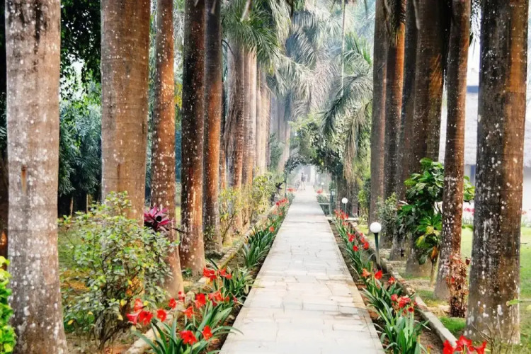 Chitwan Paradise Hotel Over view