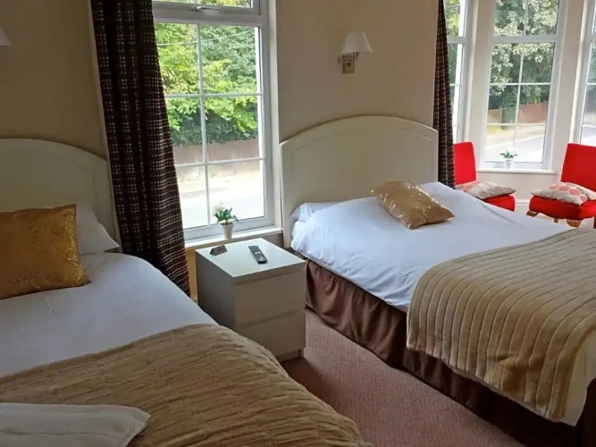 Standard Single room