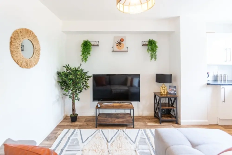 Deluxe Apartment