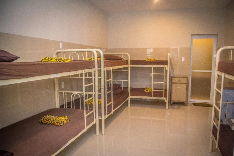 Bed in Dorm