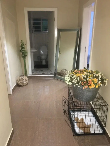 Mustapha's Apartment