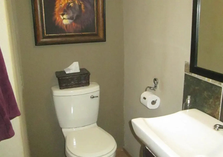 Ama Zulu Guesthouse and SafarisOver view