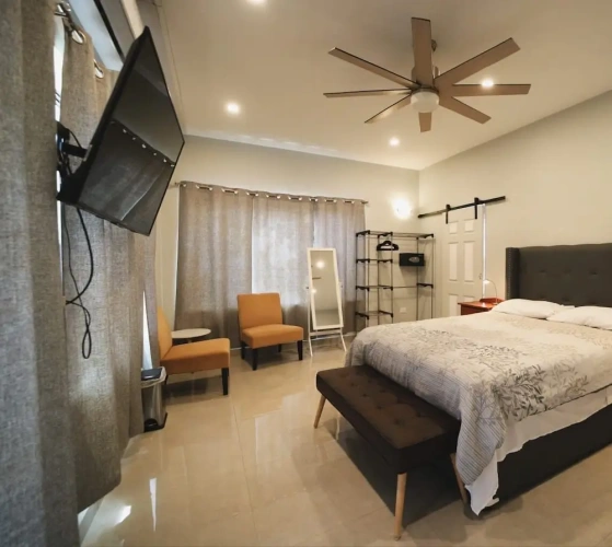 Standard Penthouse room