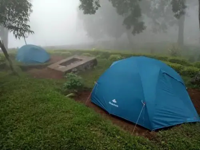 Misty Cardamom Hills Munnar