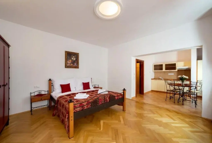 Comfort Apartment with view