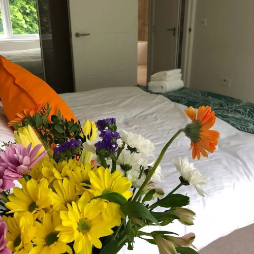 Kingsgate Apartment