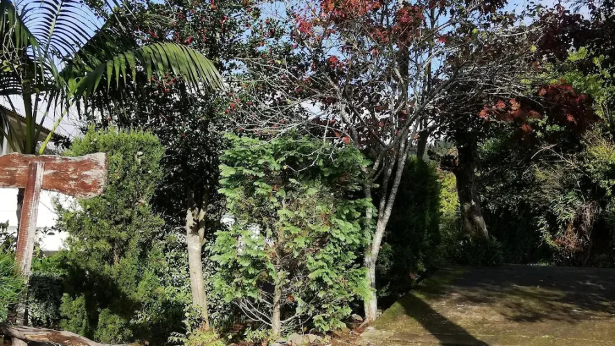 Rural House- Casa Rosa