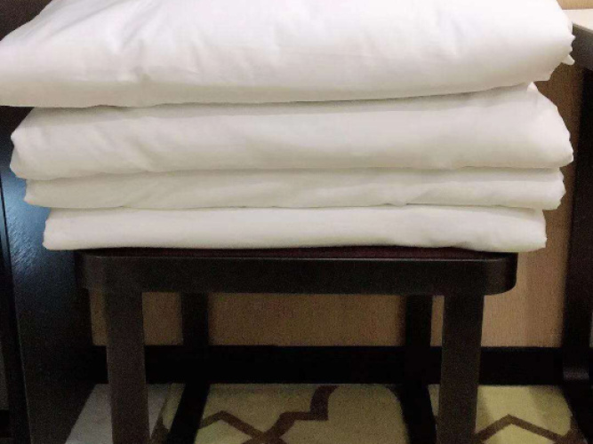 Deluxe Double Suite