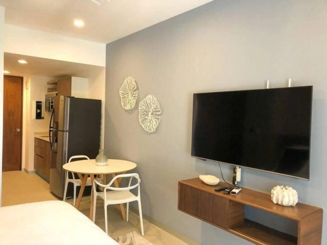 Deluxe Studio Aparment Mamitas Zone