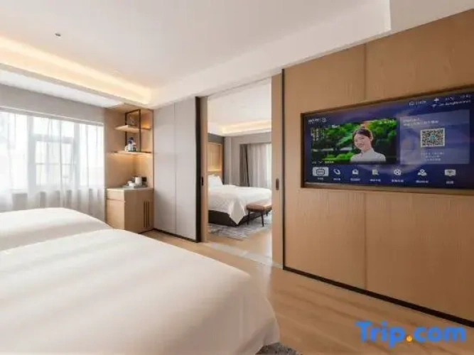 Deluxe Double room with city view