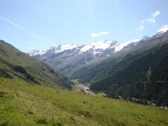 Wieshof