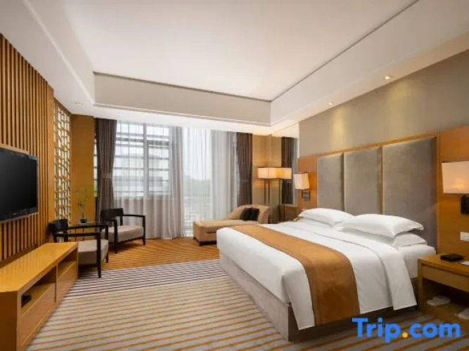 Triple Family Suite