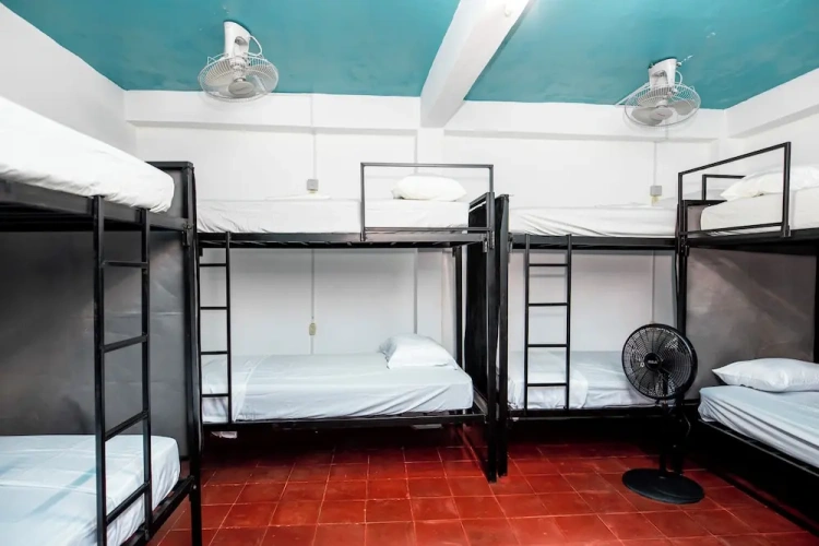 Bed in Dorm
