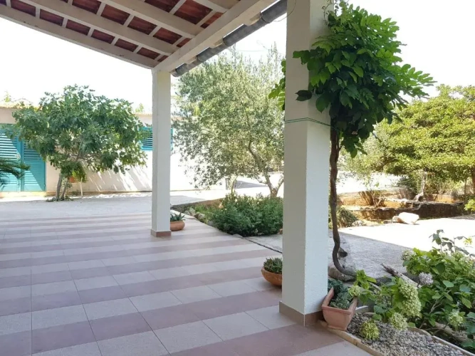 Apartment with garden view