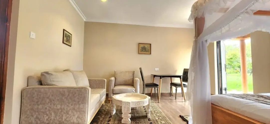 Classic Single room