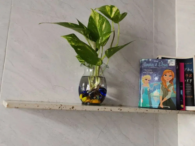 Cola's homestayOver view