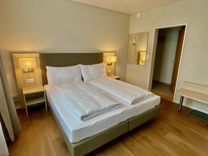 Standard Double room with park view