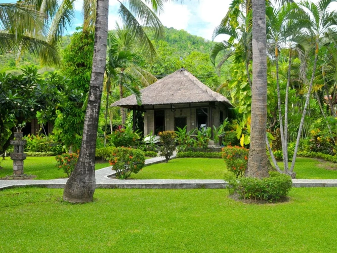 Suite with garden view