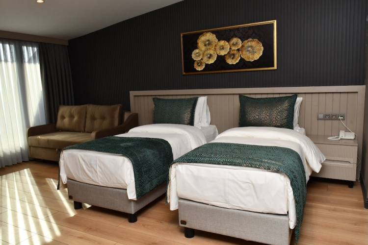 Deluxe Twin room with city view