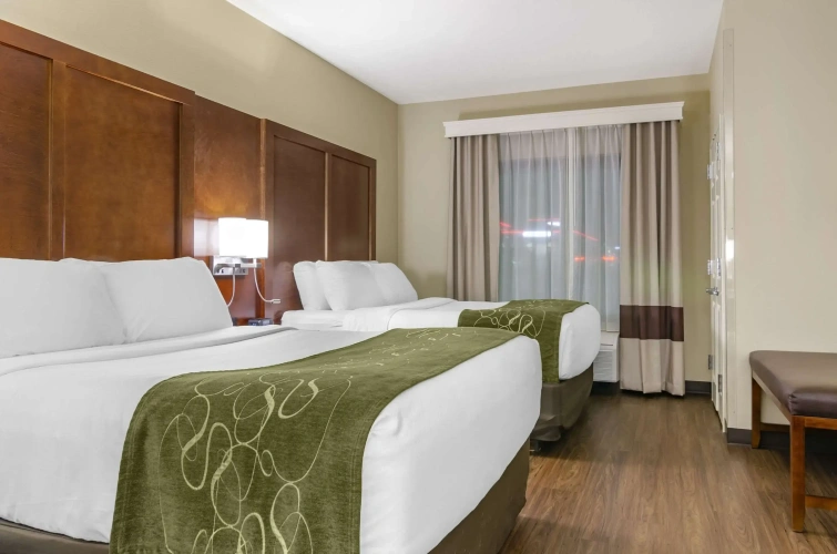 Quadruple Suite