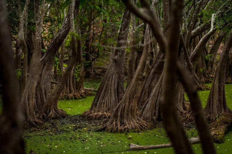 Casa Cenote Popol Vuh