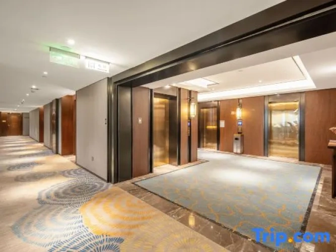 Hotel rooms