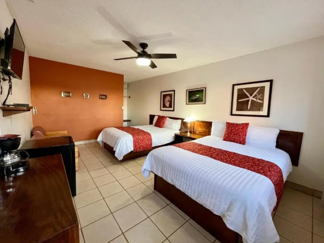 Standard Double room