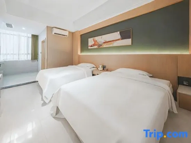 Standard Double room with city view