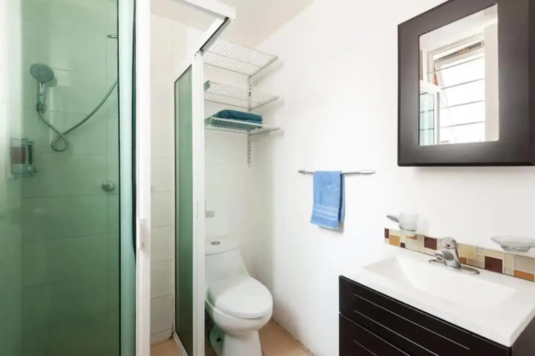 Cozy & Full Apt in Coyoacan Great for Long Stays