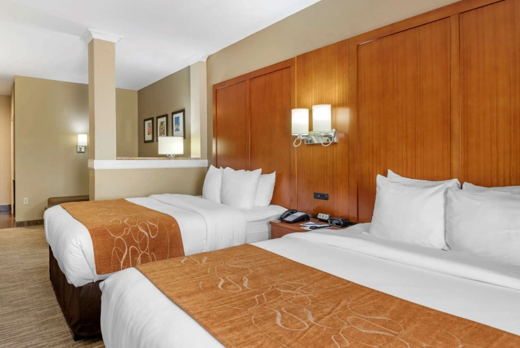 Quadruple Suite