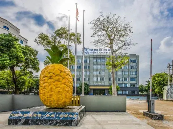 Xuwen Pineapple Hotel
