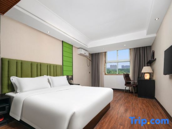 Single Family Suite